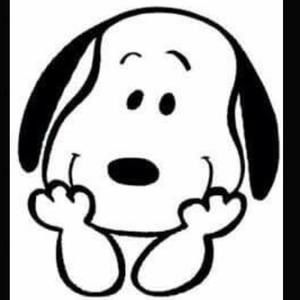 Meet your Posher, Dina